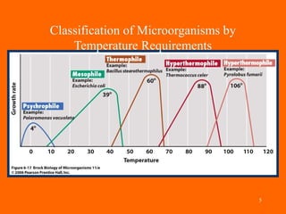 Bacterial nutrition and growth | PPT