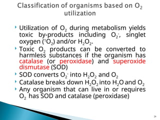 O2 Antibiotic - Bacterial Nutrition and Growth (microbiology)-.ppt