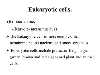 Eukaryotic cells.
-(Eu- means true,
-(Karyote- means nucleus)
The Eukaryotic cell is more complex, has
membrane bound nucleus, and many organells.
 Eukaryotic cells include protozoa, fungi, algae,
(green, brown and red algae) and plant and animal
cells.
 