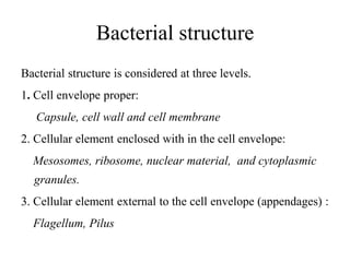 Bacterial structure
Bacterial structure is considered at three levels.
1. Cell envelope proper:
Capsule, cell wall and cell membrane
2. Cellular element enclosed with in the cell envelope:
Mesosomes, ribosome, nuclear material, and cytoplasmic
granules.
3. Cellular element external to the cell envelope (appendages) :
Flagellum, Pilus
 