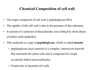 Chemical Composition of cell wall
• The major component of cell wall is peptidoglycan (PG)
• The rigidity of the cell wall is due to the presence of this substance
• It consists of a polymer of disaccharides cross-linked by short chains
of amino acids (peptides).
• This molecule is a type of peptidoglycan, which is called murein.
– peptidoglycan layer (murein) is a complex, interwoven network
that surrounds the entire cells and is composed of a single
covalently linked macromolecules.
– Found only in bacterial cell walls
 
