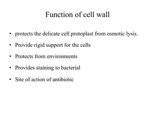 Function of cell wall
• protects the delicate cell protoplast from osmotic lysis.
• Provide rigid support for the cells
• Protects from environments
• Provides staining to bacterial
• Site of action of antibiotic
 