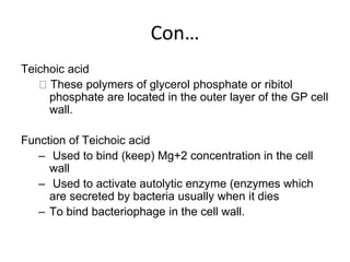 Con…
Teichoic acid
These polymers of glycerol phosphate or ribitol
phosphate are located in the outer layer of the GP cell
wall.
Function of Teichoic acid
– Used to bind (keep) Mg+2 concentration in the cell
wall
– Used to activate autolytic enzyme (enzymes which
are secreted by bacteria usually when it dies
– To bind bacteriophage in the cell wall.
 