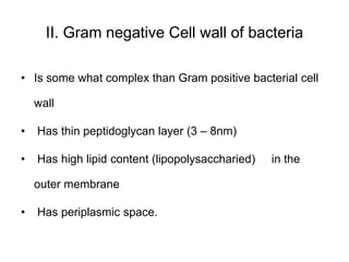 II. Gram negative Cell wall of bacteria
• Is some what complex than Gram positive bacterial cell
wall
• Has thin peptidoglycan layer (3 – 8nm)
• Has high lipid content (lipopolysaccharied) in the
outer membrane
• Has periplasmic space.
 