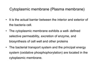 Cytoplasmic membrane (Plasma membrane)
• It is the actual barrier between the interior and exterior of
the bacteria cell.
• The cytoplasmic membrane exhibits a well- defined
selective permeability, excretion of enzyme, and
biosynthesis of cell well and other proteins
• The bacterial transport system and the principal energy
system (oxidative phosphophorylation) are located in the
cytoplasmic membrane.
 