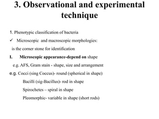 3. Observational and experimental
technique
1. Phenotypic classification of bacteria
 Microscopic and macroscopic morphologies:
is the corner stone for identification
I. Microscopic appearance-depend on shape
e.g. AFS, Gram stain - shape, size and arrangement
e.g. Cocci (sing Coccus)- round (spherical in shape)
Bacilli (sig-Bacillus)- rod in shape
Spirochetes – spiral in shape
Pleomorphic- variable in shape (short rods)
 