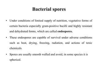 Bacterial spores
• Under conditions of limited supply of nutrition, vegetative forms of
certain bacteria especially gram-positive bacilli and highly resistant
and dehydrated forms, which are called endospores.
• These endospores are capable of survival under adverse conditions
such as heat, drying, freezing, radiation, and actions of toxic
chemicals.
• Spores are usually smooth walled and avoid, in some species it is
spherical.
 