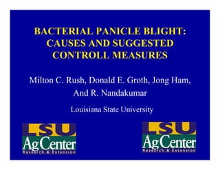 BACTERIAL PANICLE BLIGHT:
   CAUSES AND SUGGESTED
    CONTROLL MEASURES

Milton C. Rush, Donald E. Groth, Jong Ham,
           And R. Nandakumar
          Louisiana State University
 