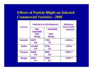 Bacterial panicle blight