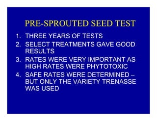Bacterial panicle blight