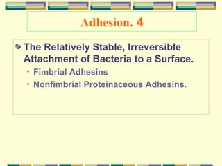 Adhesion. 4
The Relatively Stable, Irreversible
Attachment of Bacteria to a Surface.
• Fimbrial Adhesins
• Nonfimbrial Proteinaceous Adhesins.

 