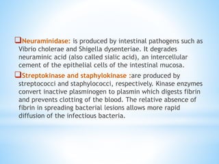 Neuraminidase: is produced by intestinal pathogens such as
Vibrio cholerae and Shigella dysenteriae. It degrades
neuraminic acid (also called sialic acid), an intercellular
cement of the epithelial cells of the intestinal mucosa.
Streptokinase and staphylokinase :are produced by
streptococci and staphylococci, respectively. Kinase enzymes
convert inactive plasminogen to plasmin which digests fibrin
and prevents clotting of the blood. The relative absence of
fibrin in spreading bacterial lesions allows more rapid
diffusion of the infectious bacteria.
 