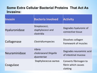 Invasin Bacteria Involved Activity
Hyaluronidase
Streptococci,
staphylococci and
clostridia
Degrades hyaluronic of
connective tissue
Collagenase Clostridiumspecies
Dissolves collagen
framework of muscles
Neuraminidase
Vibrio
choleraeand Shigella
dysenteriae
Degrades neuraminic acid
of intestinal mucosa
Coagulase
Staphylococcus aureus Converts fibrinogen to
fibrin which causes
clotting
Some Extra Cellular Bacterial Proteins That Act As
Invasins:
 
