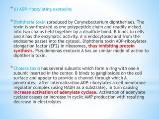 *(i) ADP-ribosylating exotoxins
*Diphtheria toxin (produced by Corynebacterium diphtheriae). The
toxin is synthesized as one polypeptide chain and readily nicked
into two chains held together by a disulfide bond. B binds to cells
and A has the enzymatic activity. A is endocytosed and from the
endosome passes into the cytosol. Diphtheria toxin ADP-ribosylates
elongation factor (EF2) in ribosomes, thus inhibiting protein
synthesis. Pseudomonas exotoxin A has an similar mode of action to
diphtheria toxin.
*Cholera toxin has several subunits which form a ring with one A
subunit inserted in the center. B binds to gangliosides on the cell
surface and appear to provide a channel through which A
penetrates. after internalization ADP-ribosylates a cell membrane
regulator complex (using NADH as a substrate), in turn causing
increase activation of adenylate cyclase. Activation of adenylate
cyclase causes an increase in cyclic AMP production with resulting
decrease in electrolytes
 
