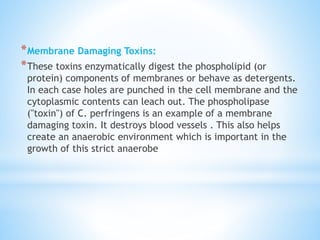 *Membrane Damaging Toxins:
*These toxins enzymatically digest the phospholipid (or
protein) components of membranes or behave as detergents.
In each case holes are punched in the cell membrane and the
cytoplasmic contents can leach out. The phospholipase
("toxin") of C. perfringens is an example of a membrane
damaging toxin. It destroys blood vessels . This also helps
create an anaerobic environment which is important in the
growth of this strict anaerobe
 
