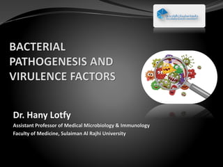 Dr. Hany Lotfy
Assistant Professor of Medical Microbiology & Immunology
Faculty of Medicine, Sulaiman Al Rajhi University
 