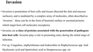 Invasion
• Invasion is penetration of host cells and tissues (beyond the skin and mucous
surfaces), and is mediated by a complex array of molecules, often described as
‘invasins’ . these can be in the form of bacterial surface or secreted proteins
which target host cell molecules (receptors).
• Invasins are a class of proteins associated with the penetration of pathogens
into host cells. Invasins play a role in promoting entry during the initial stage of
infection.
- For eg. Coagulase, staphylokinase and leukocidins in Staphylococcus spp. And
Hyaluronic acid and lipoteichoic acid in Streptococcus spp. etc
 