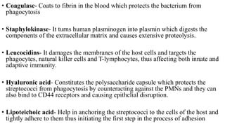 • Coagulase- Coats to fibrin in the blood which protects the bacterium from
phagocytosis
• Staphylokinase- It turns human plasminogen into plasmin which digests the
components of the extracellular matrix and causes extensive proteolysis.
• Leucocidins- It damages the membranes of the host cells and targets the
phagocytes, natural killer cells and T-lymphocytes, thus affecting both innate and
adaptive immunity.
• Hyaluronic acid- Constitutes the polysaccharide capsule which protects the
streptococci from phagocytosis by counteracting against the PMNs and they can
also bind to CD44 receptors and causing epithelial disruption.
• Lipoteichoic acid- Help in anchoring the streptococci to the cells of the host and
tightly adhere to them thus initiating the first step in the process of adhesion
 