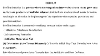 BIOFILM
Biofilm formation is a process where microorganisms irreversibly attach to and grow on a
surface and produce extracellular polymers that facilitate attachment and matrix formation,
resulting in an alteration in the phenotype of the organisms with respect to growth rate and
gene transcription.
Biofilm formation is commonly considered to occur in four main stages:
(1) Bacterial Attachment To A Surface
(2) Microcolony Formation
(3) Biofilm Maturation And
(4) Detachment (Also Termed Dispersal) Of Bacteria Which May Then Colonize New Areas
FUNCTION:-
Provides increased protection of bacteria from the Antibiotics and Host Defenses.
 