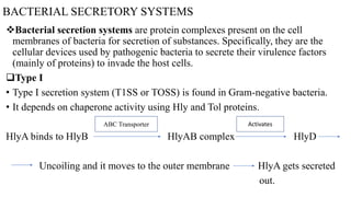 BACTERIAL SECRETORY SYSTEMS
Bacterial secretion systems are protein complexes present on the cell
membranes of bacteria for secretion of substances. Specifically, they are the
cellular devices used by pathogenic bacteria to secrete their virulence factors
(mainly of proteins) to invade the host cells.
Type I
• Type I secretion system (T1SS or TOSS) is found in Gram-negative bacteria.
• It depends on chaperone activity using Hly and Tol proteins.
HlyA binds to HlyB HlyAB complex HlyD
Uncoiling and it moves to the outer membrane HlyA gets secreted
out.
ABC Transporter Activates
 