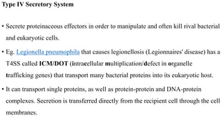 Type IV Secretory System
• Secrete proteinaceous effectors in order to manipulate and often kill rival bacterial
and eukaryotic cells.
• Eg. Legionella pneumophila that causes legionellosis (Legionnaires' disease) has a
T4SS called ICM/DOT (intracellular multiplication/defect in organelle
trafficking genes) that transport many bacterial proteins into its eukaryotic host.
• It can transport single proteins, as well as protein-protein and DNA-protein
complexes. Secretion is transferred directly from the recipient cell through the cell
membranes.
 