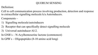 QUORUM SENSING
Definition:
Cell to cell communication process involving production, detection and response
to extracellular signalling molecule k/a Autoinducers.
Components –
1) Signalling molecule/autoinducers
2) Receptor that can specifically detect signalling molecule
3) Universal autoinducer AI-2.
In GNB`s – N-Acylhomoserine lactone (commonest)
In GPB`s – Oligopeptides (8-10 amino acid long)
 