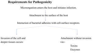 Microorganism enters the host and initiates infection.
Attachment to the surface of the host
Interaction of bacterial adhesins with cell-surface receptors.
Invasion of the cell and Attachment without invasion
deeper tissues occurs via:-
Toxins
Enzymes
Requirements for Pathogenicity
 