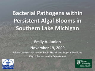 Bacterial Pathogens within Persistent Algal Blooms in Southern Lake Michigan Emily A. Junion November 19, 2009 Tulane University School of Public Health and Tropical Medicine City of Racine Health Department 
