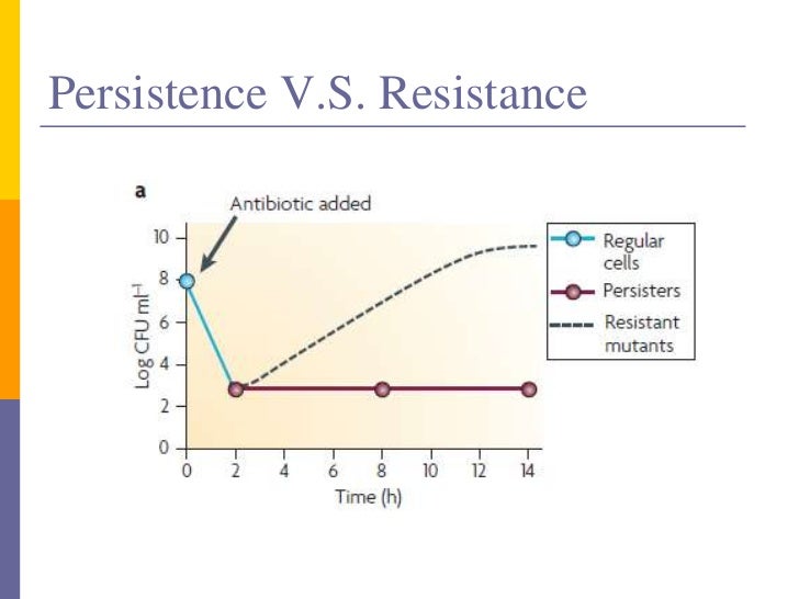 Bacterial persistence
