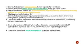 18
 Green sulfur bacteria are strict anaerobes that are capable of photosynthesis.
 Green sulfur bacteria absorb longer wavelengths of light than purple sulfate bacteria.
 Green sulfur-reducing bacteria also occur in anaerobic, sulfate-containing environments including
wetlands and overloaded facultative lagoons.
What do green sulfur bacteria do?
 Green sulfur bacteria oxidize inorganic sulfur compounds to use as electron donors for anaerobic
photosynthesis, specifically in carbon dioxide fixation.
 They usually prefer to utilize sulfide over other sulfur compounds as an electron donor, however they
can utilize thiosulfate or H2.
 Green sulfur bacteria exhibit activity from a Type-1 secretion system and a ferredoxin-NADP+
oxidoreductase to generate reduced iron, a trait that evolved to support nitrogen fixation.
 green sulfur bacteria use bacteriochlorophylls to perform photosynthesis.
 