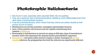 22
Phototrophic Heliobacteria
 Also found in soils, especially water-saturated fields, like rice paddies.
 They use a particular type of bacteriochlorophyll, labelled g, which differentiates them from
other types of photosynthetic bacteria.
 They are photoheterotrophs, which means that they cannot use carbon dioxide as their
primary source of carbon.
 Heliobacteria are strictly anaerobic, anoxygenic phototrophic bacteria.
 have a Gram-positive cell structure and are capable of producing heat-
resistant endospores.
 Phototrophy in heliobacteria is carried out using an FeS-type (type-I) homodimeric
reaction centre that represents the simplest known photosynthetic apparatus.
 Heliobacteria and green-sulfur bacteria employ a similar contingent of electron
transfer cofactors, the polypeptides that bind the cofactors are significantly different.
 