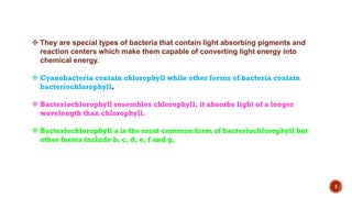 3
 They are special types of bacteria that contain light absorbing pigments and
reaction centers which make them capable of converting light energy into
chemical energy.
 Cyanobacteria contain chlorophyll while other forms of bacteria contain
bacteriochlorophyll.
 Bacteriochlorophyll resembles chlorophyll, it absorbs light of a longer
wavelength than chlorophyll.
 Bacteriochlorophyll a is the most common form of bacteriochlorophyll but
other forms include b, c, d, e, f and g.
 