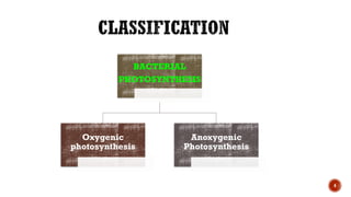 4
BACTERIAL
PHOTOSYNTHESIS
Oxygenic
photosynthesis
Anoxygenic
Photosynthesis
 