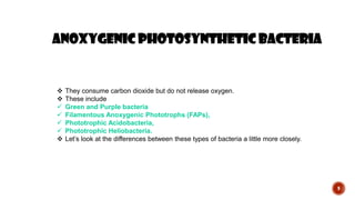 9
 They consume carbon dioxide but do not release oxygen.
 These include
 Green and Purple bacteria
 Filamentous Anoxygenic Phototrophs (FAPs),
 Phototrophic Acidobacteria,
 Phototrophic Heliobacteria.
 Let’s look at the differences between these types of bacteria a little more closely.
Anoxygenic photosynthetic bacteria
 