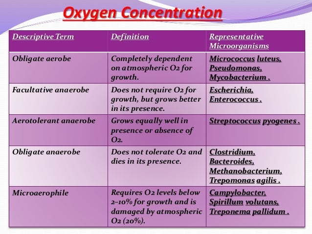 Bacterial Physiology bacterial-physiology