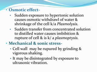 • Osmotic effect-
• Sudden exposure to hypertonic solution
causes osmotic withdrawl of water &
shrinkage of the cell k/a Plasmolysis.
• Sudden transfer from concentrated solution
to distilled water causes imbibition &
rupture of cell & is k/ a plasmoptysis.
• Mechanical & sonic stress-
• Cell wall may be rupured by grinding &
vigorous shaking.
• It may be disintegrated by exposure to
ultrasonic vibration.
 