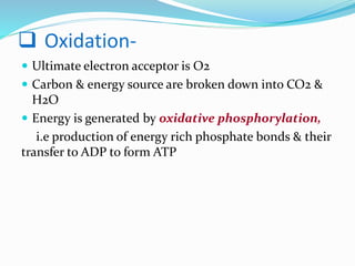  Oxidation-
 Ultimate electron acceptor is O2
 Carbon & energy source are broken down into CO2 &
H2O
 Energy is generated by oxidative phosphorylation,
i.e production of energy rich phosphate bonds & their
transfer to ADP to form ATP
 