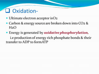  Oxidation-
 Ultimate electron acceptor isO2
 Carbon & energy sourceare broken down into CO2 &
H2O
 Energy is generated by oxidativephosphorylation,
i.e productionof energy rich phosphate bonds & their
transfer to ADP to formATP
 