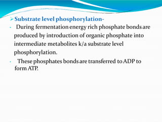 Substrate level phosphorylation-
• During fermentationenergy rich phosphate bondsare
produced by introduction of organic phosphate into
intermediate metabolites k/a substrate level
phosphorylation.
• These phosphates bondsare transferred toADP to
form ATP.
 