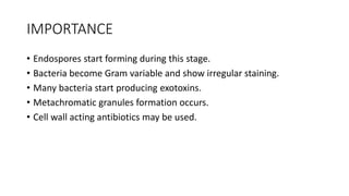 IMPORTANCE
• Endospores start forming during this stage.
• Bacteria become Gram variable and show irregular staining.
• Many bacteria start producing exotoxins.
• Metachromatic granules formation occurs.
• Cell wall acting antibiotics may be used.
 