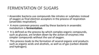 FERMENTATION OF SUGARS
• Anaerobic bacteria use compounds like nitrates or sulphates instead
of oxygen as final electron acceptors in the process of respiration
(anaerobic respiration).
• A more common process used by these bacteria in anaerobic
metabolism is fermentation.
• It is defined as the process by which complex organic compounds,
such as glucose, are broken down by the action of enzymes into
simpler compounds without the use of oxygen.
• This process leads to the formation of several organic end products
such as organic acids and alcohols, as well as of gas (carbon dioxide
and hydrogen).
 