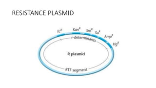 RESISTANCE PLASMID
 