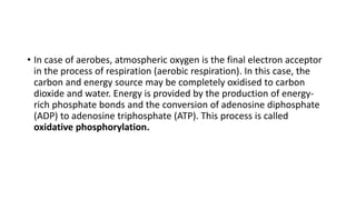• In case of aerobes, atmospheric oxygen is the final electron acceptor
in the process of respiration (aerobic respiration). In this case, the
carbon and energy source may be completely oxidised to carbon
dioxide and water. Energy is provided by the production of energy-
rich phosphate bonds and the conversion of adenosine diphosphate
(ADP) to adenosine triphosphate (ATP). This process is called
oxidative phosphorylation.
 