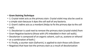 • Gram Staining Technique
• 1. Crystal violet acts as the primary stain. Crystal violet may also be used as
• a simple stain because it dyes the cell wall of any bacteria.
• 2. Gram’s iodine acts as a mordant (Helps to fix the primary dye to the cell
• wall).
• 3. Decolorizer is used next to remove the primary stain (crystal violet) from
• Gram Negative bacteria (those with LPS imbedded in their cell walls).
• Decolorizer is composed of an organic solvent, such as, acetone or ethanol
• or a combination of both.)
• 4. Finally, a counter stain (Safranin), is applied to stain those cells (Gram
• Negative) that have lost the primary stain as a result of decolorization
 