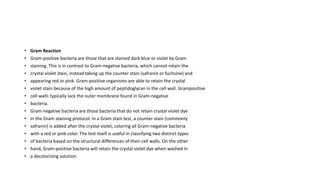 • Gram Reaction
• Gram-positive bacteria are those that are stained dark blue or violet by Gram
• staining. This is in contrast to Gram-negative bacteria, which cannot retain the
• crystal violet stain, instead taking up the counter stain (safranin or fuchsine) and
• appearing red or pink. Gram-positive organisms are able to retain the crystal
• violet stain because of the high amount of peptidoglycan in the cell wall. Grampositive
• cell walls typically lack the outer membrane found in Gram-negative
• bacteria.
• Gram-negative bacteria are those bacteria that do not retain crystal violet dye
• in the Gram staining protocol. In a Gram stain test, a counter stain (commonly
• safranin) is added after the crystal violet, coloring all Gram-negative bacteria
• with a red or pink color. The test itself is useful in classifying two distinct types
• of bacteria based on the structural differences of their cell walls. On the other
• hand, Gram-positive bacteria will retain the crystal violet dye when washed in
• a decolorizing solution.
 