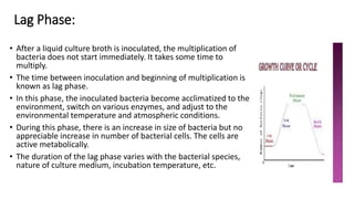 Lag Phase:
• After a liquid culture broth is inoculated, the multiplication of
bacteria does not start immediately. It takes some time to
multiply.
• The time between inoculation and beginning of multiplication is
known as lag phase.
• In this phase, the inoculated bacteria become acclimatized to the
environment, switch on various enzymes, and adjust to the
environmental temperature and atmospheric conditions.
• During this phase, there is an increase in size of bacteria but no
appreciable increase in number of bacterial cells. The cells are
active metabolically.
• The duration of the lag phase varies with the bacterial species,
nature of culture medium, incubation temperature, etc.
 