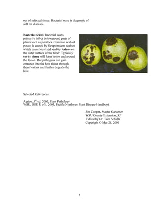 most Bacterial Plant Pathogens _ 001.pdf