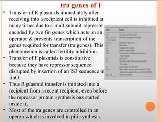 bacterial plasmid, their propertis, classification | PPTX