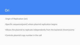 Bacterial Plasmid Structure and Functions | PDF