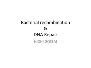 Bacterial recombination
&
DNA Repair
NIDHI GOSSAI
 